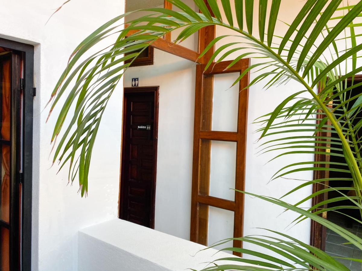 Hostel Inn Σαν Μιγκέλ ντε Αγιέντε Εξωτερικό φωτογραφία