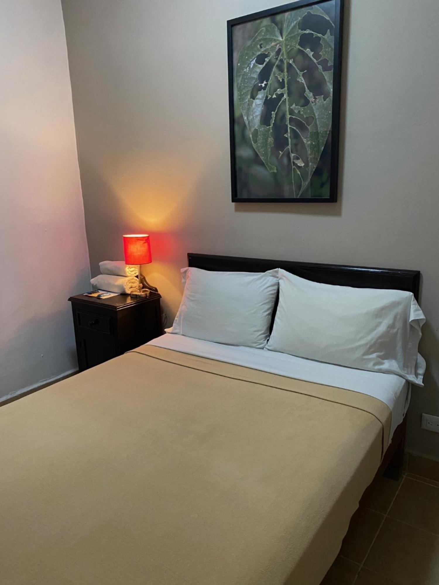 Hostel Inn Σαν Μιγκέλ ντε Αγιέντε Εξωτερικό φωτογραφία